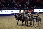 Quadrille - 00703